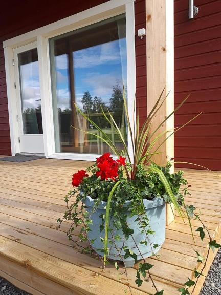 Zahrada ubytování Camping Tornio