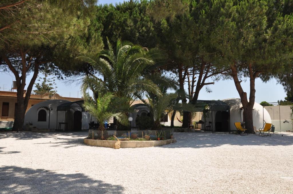 un gruppo di palme in un parcheggio di Oltremare a Triscina