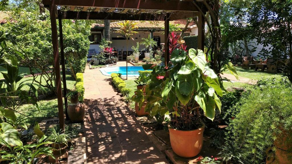 a garden with potted plants and a swimming pool at Apartamentos Don Gerardo in Asunción