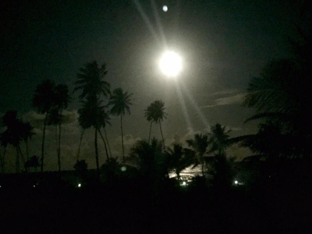  Paraiso dos Corais