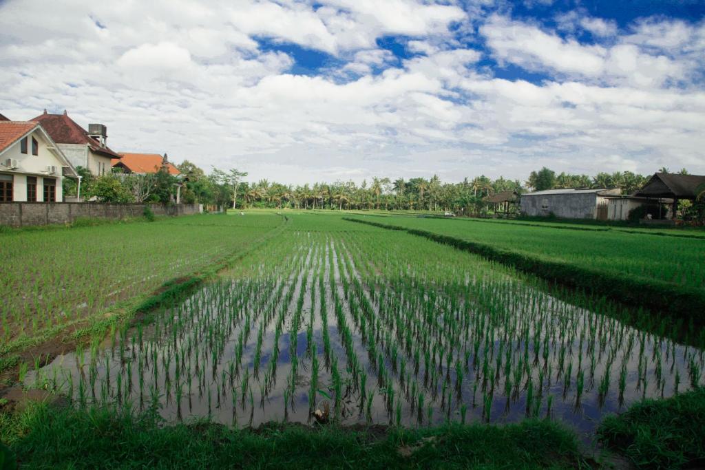 Canang Sari House
