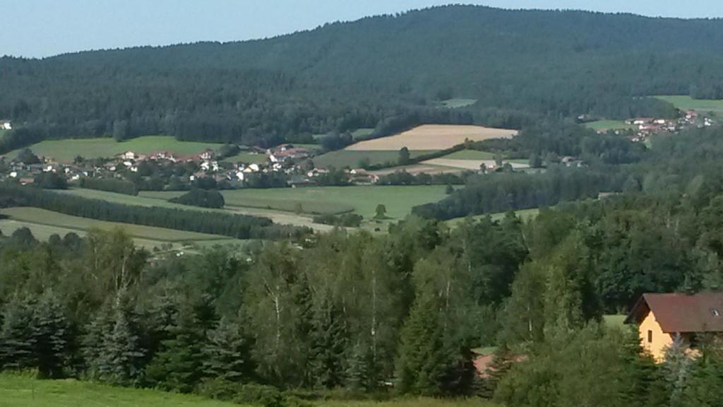 Příroda nedaleko apartmánu