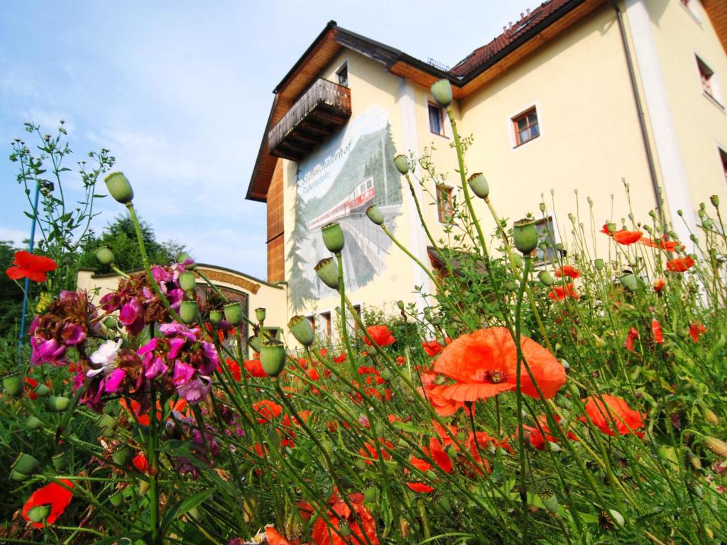 un champ de fleurs devant un bâtiment dans l'établissement Steinschalerhof, à Warth