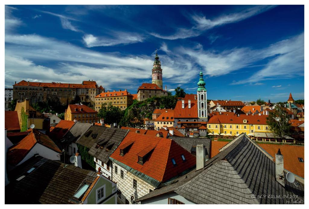 Castle View Apartments - 1