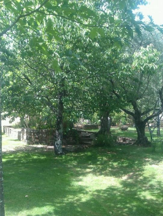 Vonkajšia záhrada v ubytovaní Puerto Roque Turismo Rural