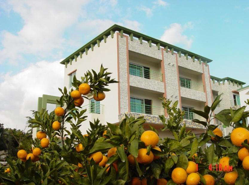 an orange tree in front of a building at Nuyoungnayoung Pension in Seogwipo