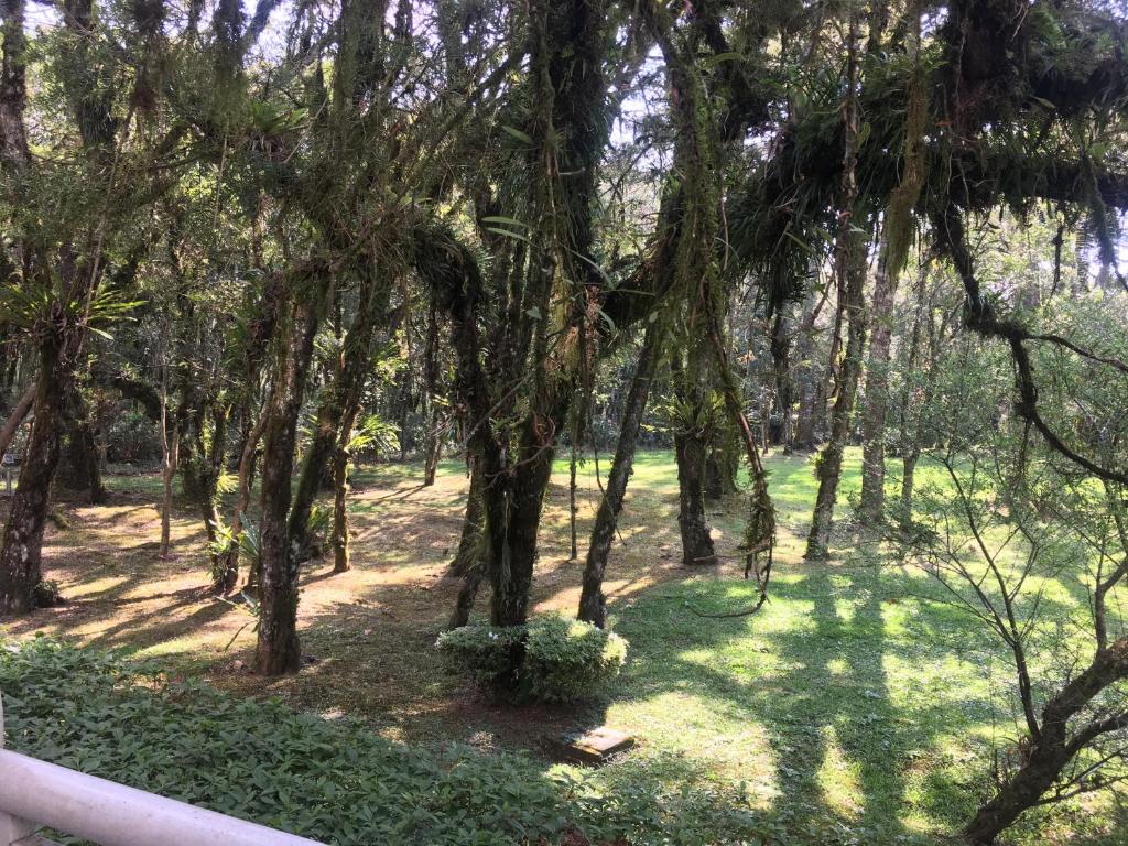  Apartamento Luxo Mountain Village