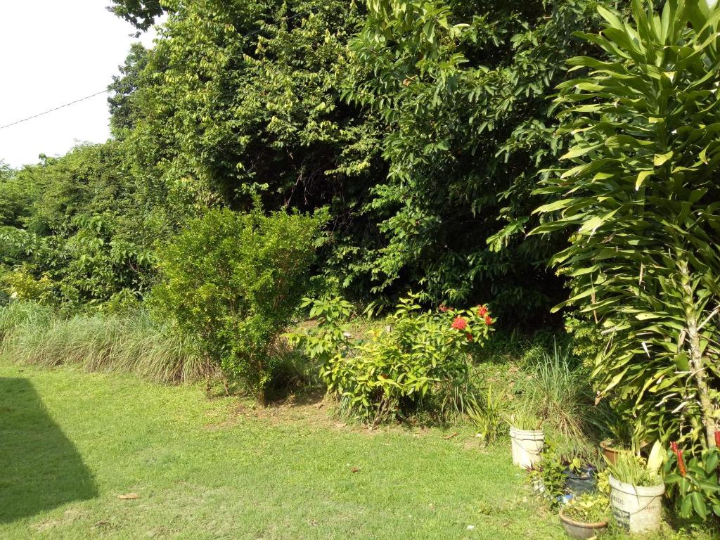 Zahrada ubytování Nas Villaria Langkawi
