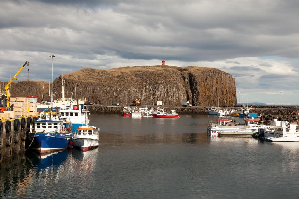 a bunch of boats are docked in a harbor at Sjávarborg in Stykkishólmur