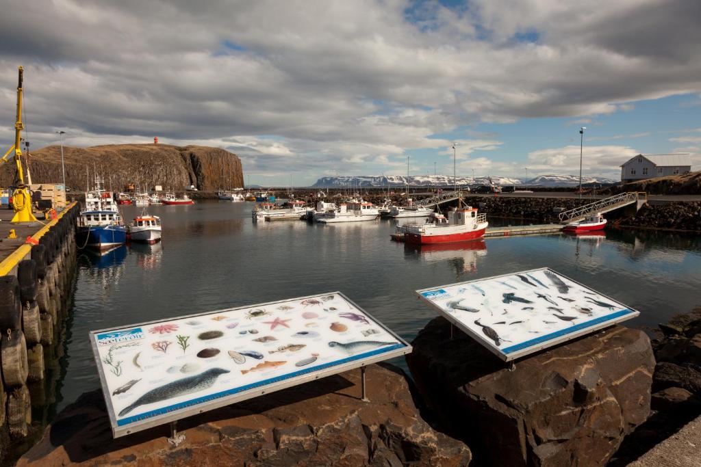 two display boards on the water with boats in a harbor at Sjávarborg in Stykkishólmur
