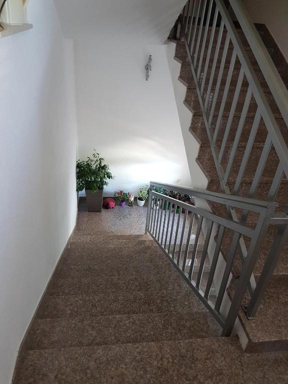 Fotografie z fotogalerie ubytování Apartmani Stanković v destinaci Podaca