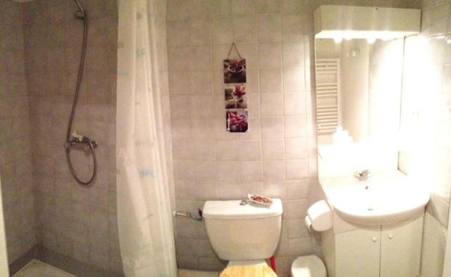 ブリッド・レ・バンにあるResidence Cybele "Grand Confort" 2のバスルーム(トイレ、洗面台、シャワー付)