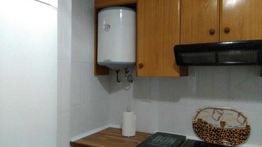 Kuchyň nebo kuchyňský kout v ubytování Apartamento Ciudad de las Ciencias 2
