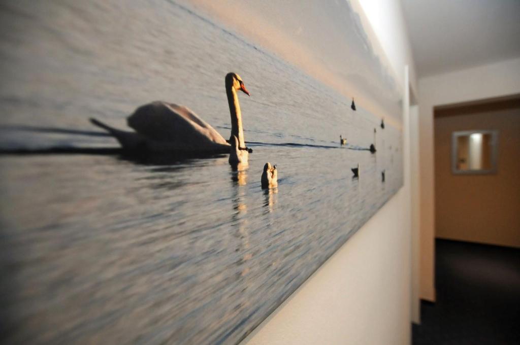 Fotografie z fotogalerie ubytování Hotel Ritter v destinaci Tettnang