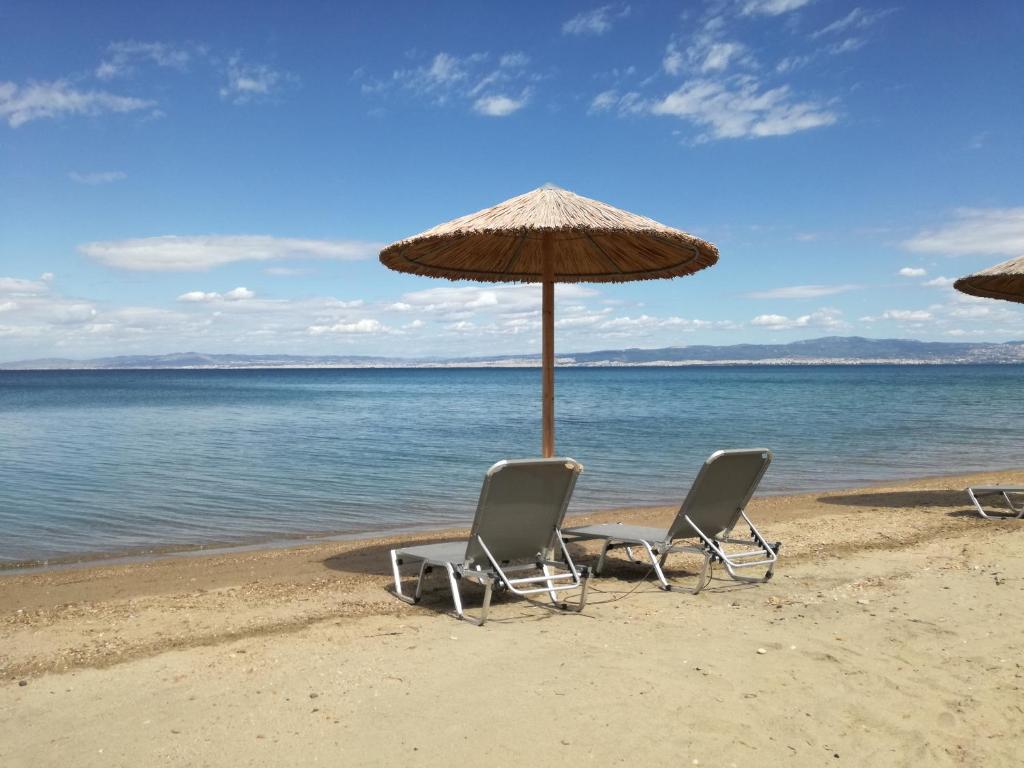 Príroda v okolí apartmánu