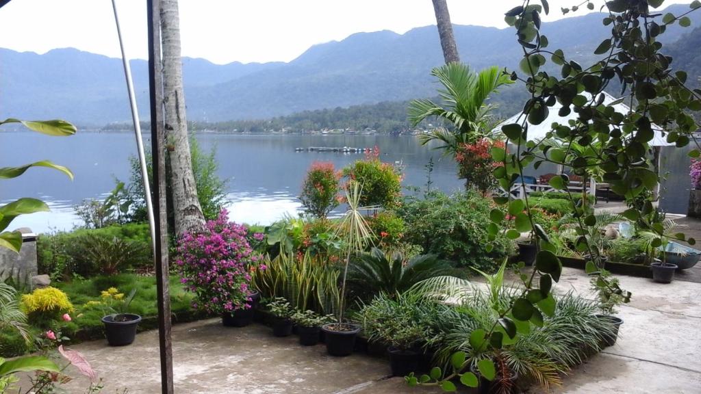 a garden with a view of a lake at Beach Guest House in Maninjau