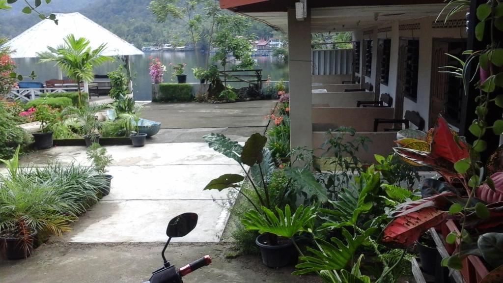 Beach Guest House - Camera Doppia Superiore