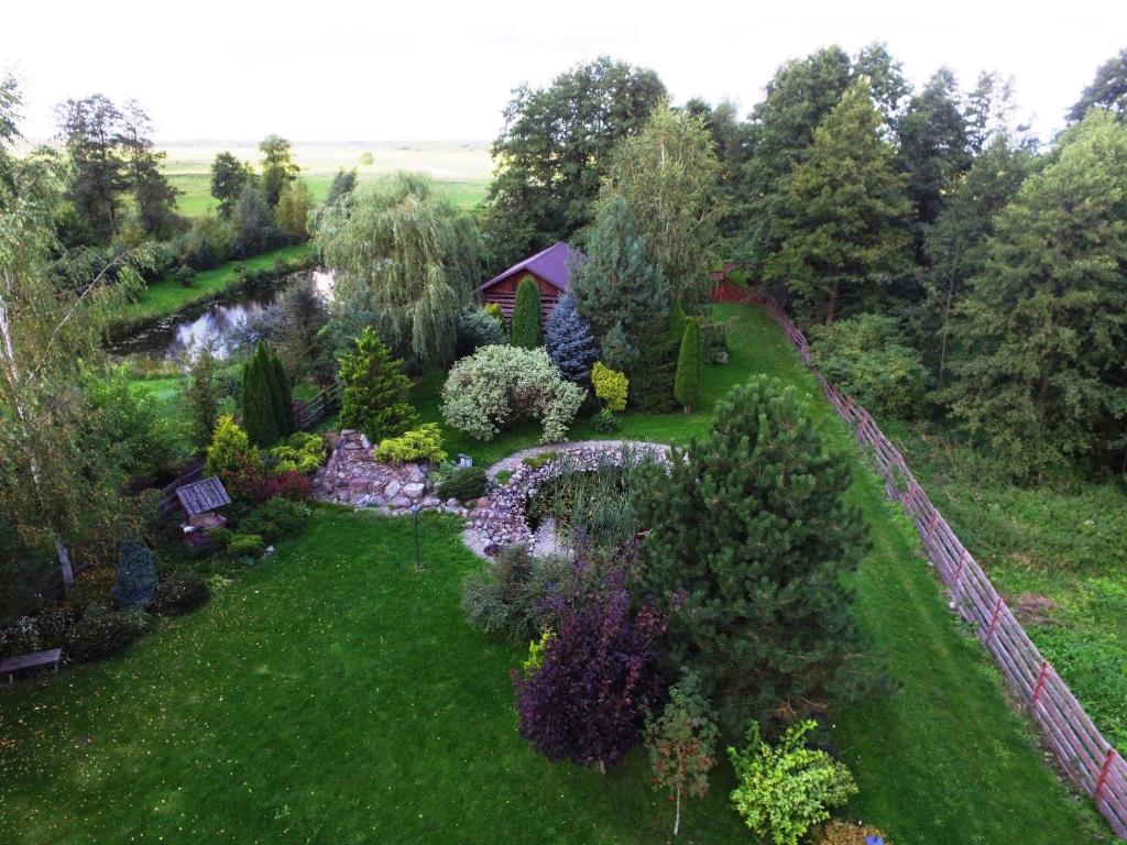 an aerial view of a garden with a pond at Wieża nad Biebrzą in Dolistowo
