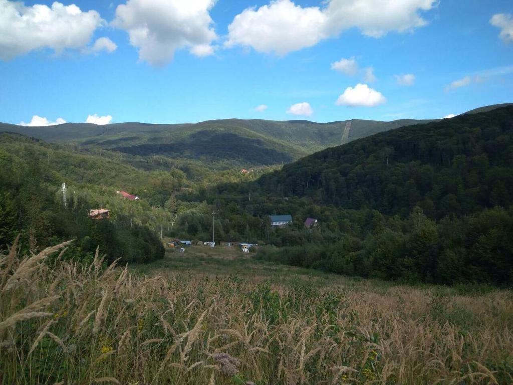 Příroda nedaleko penzionu