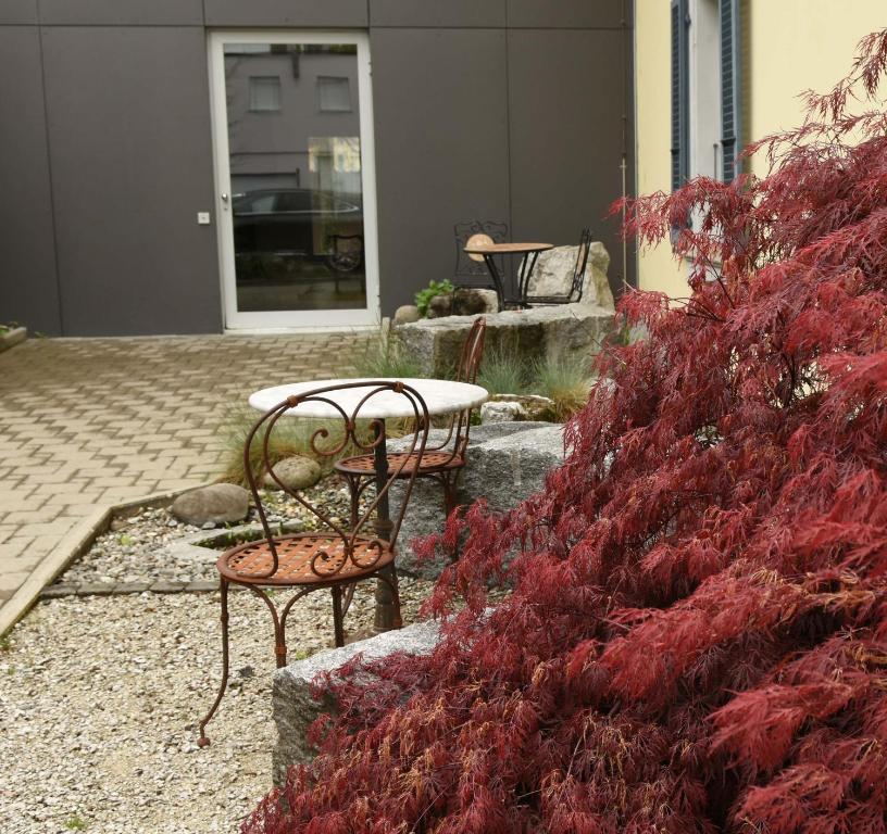 Zahrada ubytování Hotel Flamatt