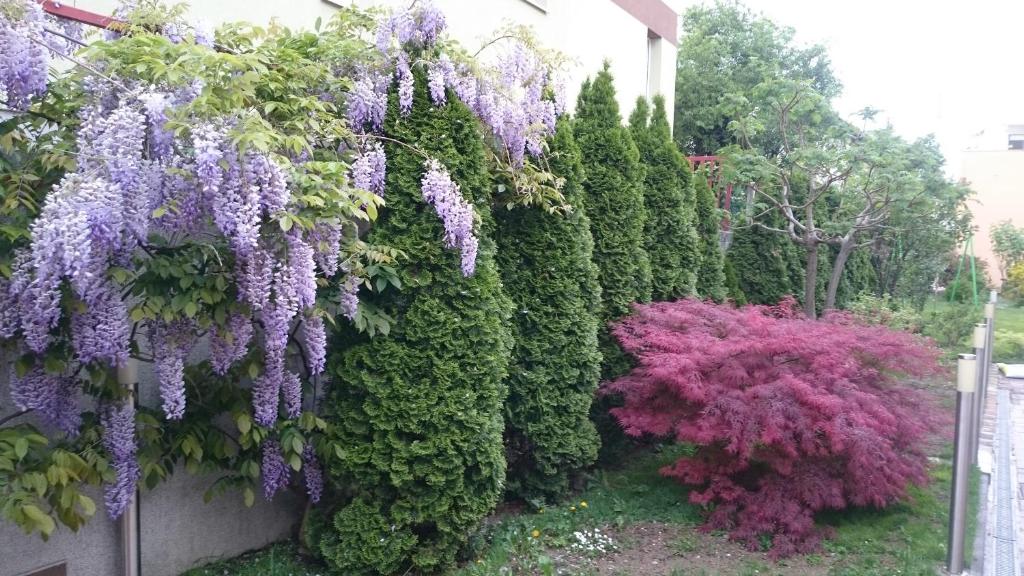 Apartment Spectre - 16