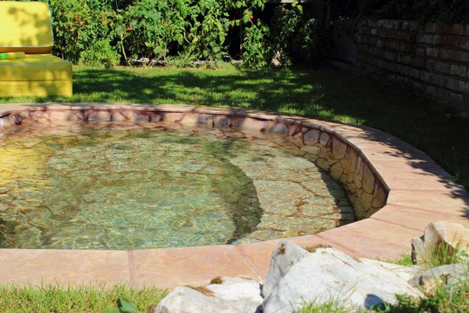 Zahrada ubytování Laguna Green Guest House