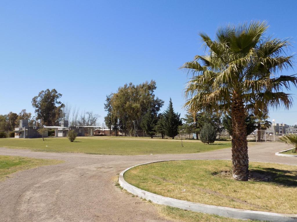 a palm tree on the side of a road at Cabañas Plaza Norte in San Martín