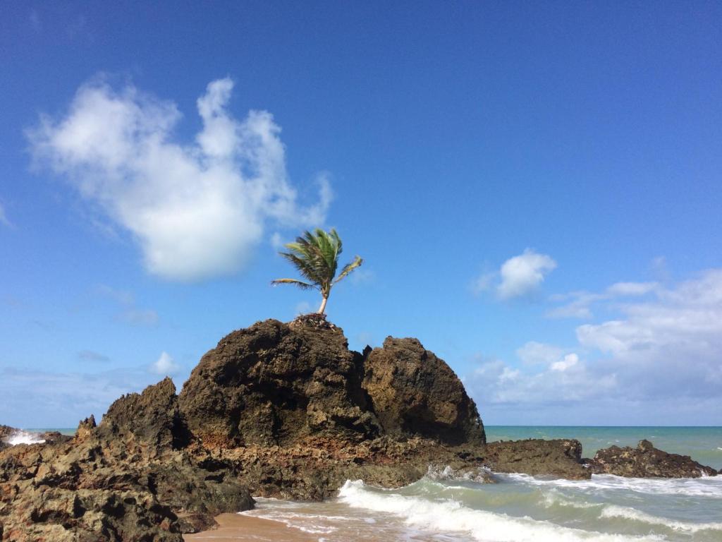  Apartamento em Jacumã