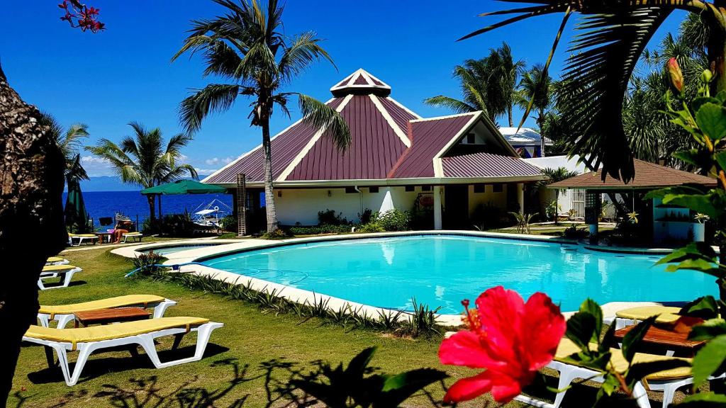 Bazén v ubytování Quo Vadis Dive Resort nebo v jeho okolí