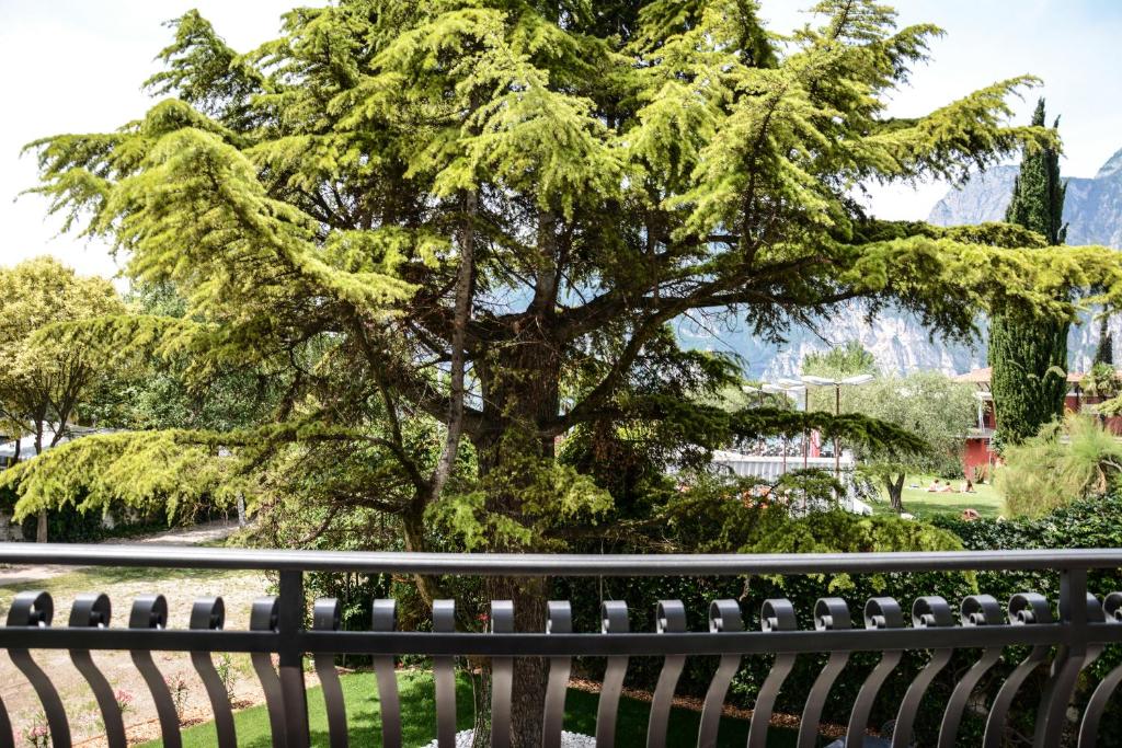 Zahrada ubytování Villa Torbole