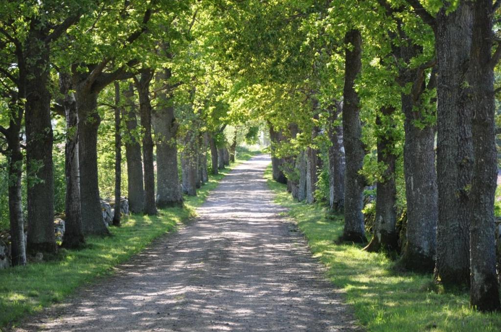 Zahrada ubytování Stålemara Gård Prutgåsen