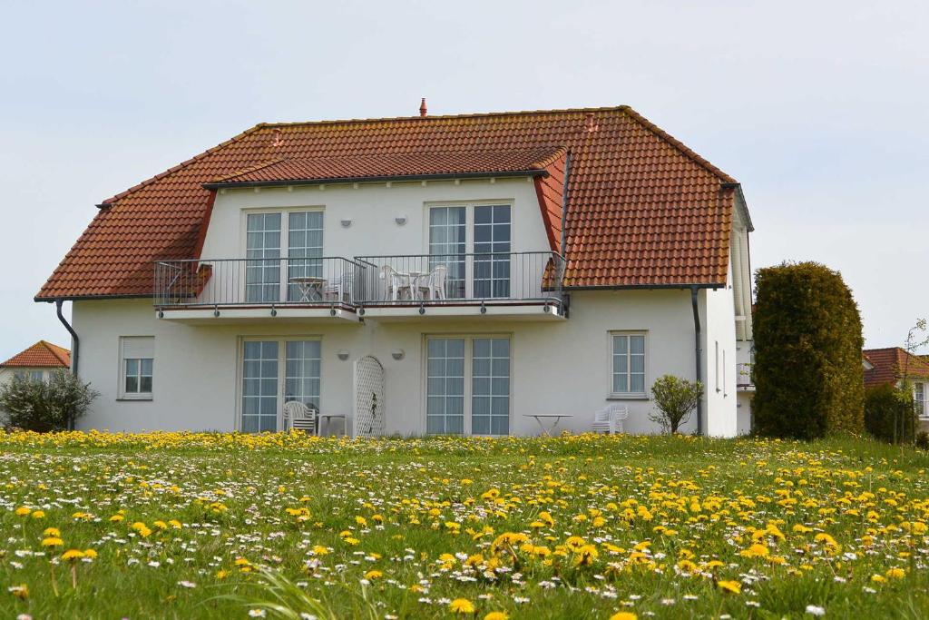 a house on a hill with a field of flowers at Ferienwohnung Landtraum in Neddesitz