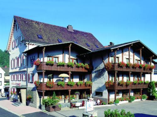 un gran edificio azul con macetas de flores y balcones en Adler Post, en Lenzkirch