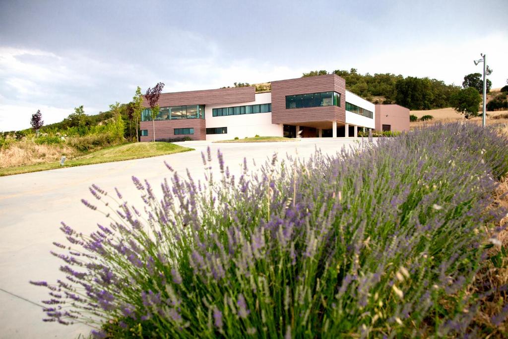 un bâtiment avec des fleurs violettes en face d'une route dans l'établissement Hotel Bodegas Traslascuestas, à Valcavado de Roa