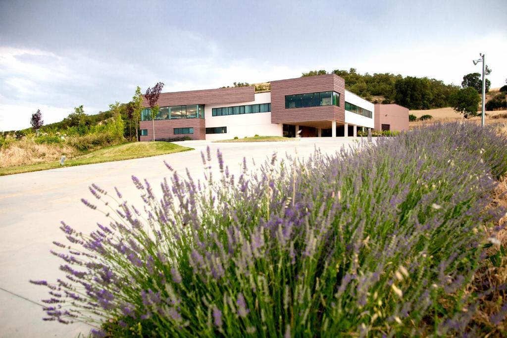 un edificio con flores púrpuras frente a una carretera en Hotel Bodegas Traslascuestas, en Valcavado de Roa