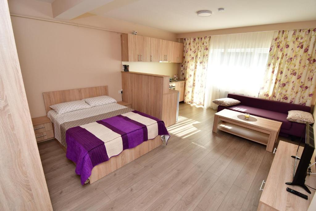ティミショアラにあるCity Premium Apartmentsの小さなベッドルーム(ベッド1台、ソファ付)