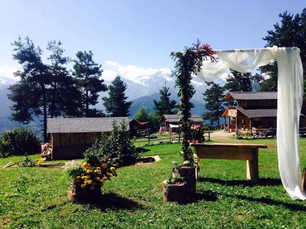Garden sa labas ng Heshkili huts Svaneti