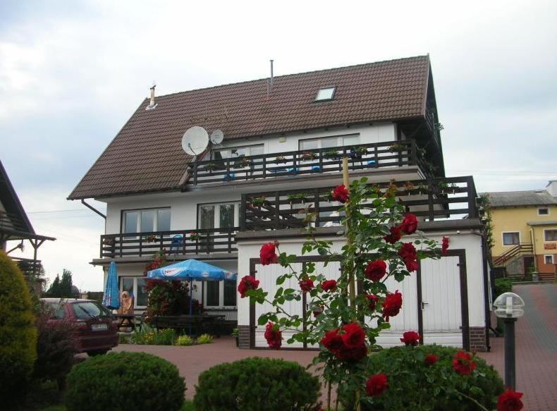 Biały dom z czerwonymi różami przed nim w obiekcie Pensjonacik Albatros w mieście Mikołajki