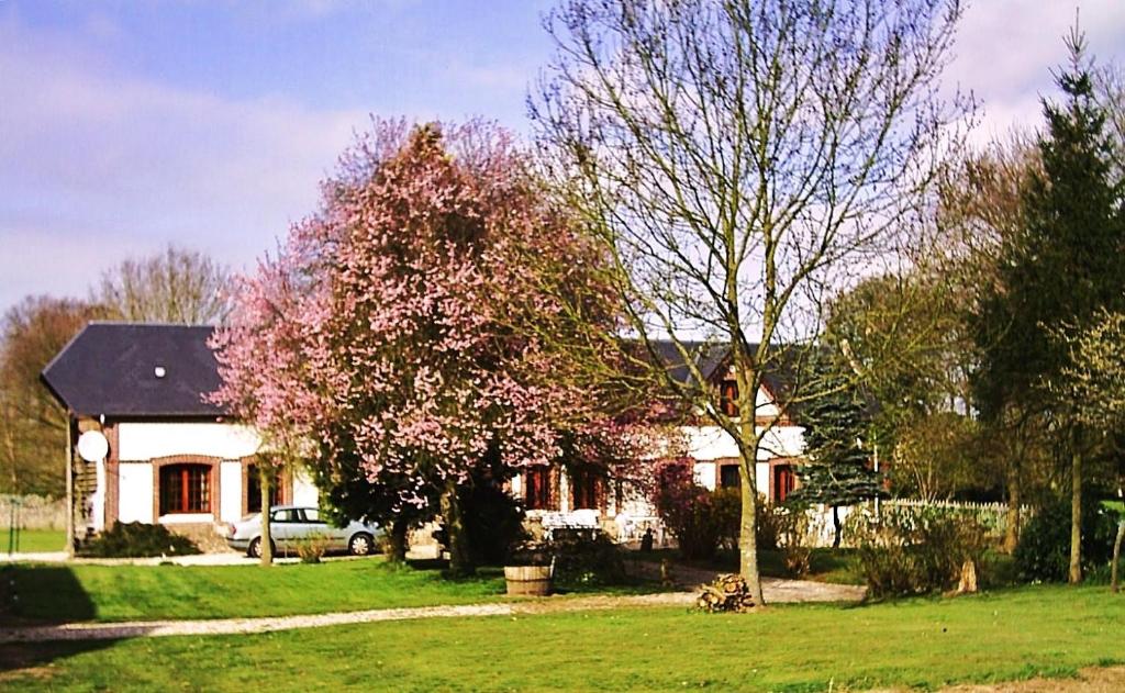 Biały dom z drzewem w ogrodzie w obiekcie bnb chambres normandie w mieście Angerville-la-Martel