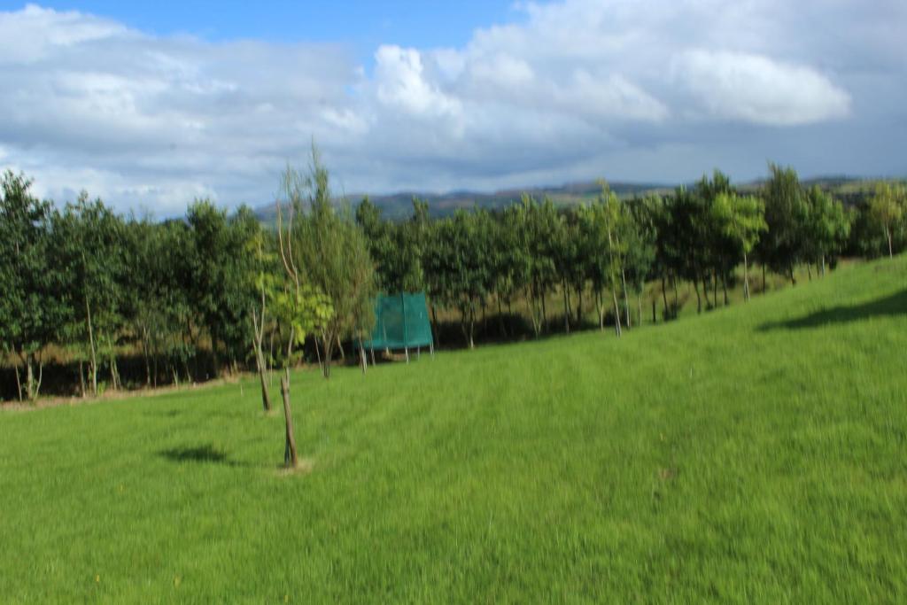 Paesaggio naturale nelle vicinanze dell'appartamento
