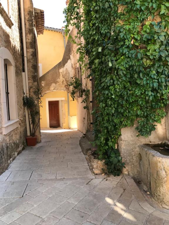 an alley with a green ivy growing on the side of a building at Les Arcades in Villecroze