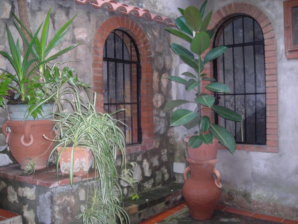 Zahrada ubytování B&B L'Arcobaleno