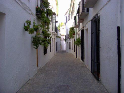 an empty alley way with white buildings and plants at La Villa Priego de Cordoba in Priego de Córdoba