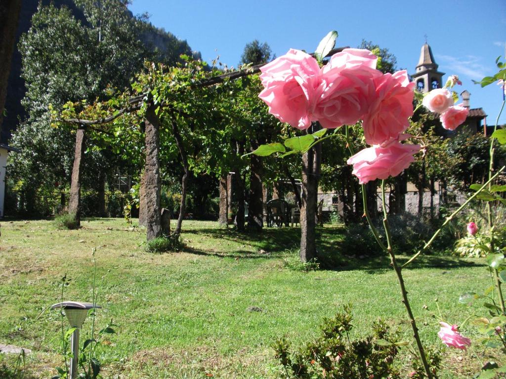 Zahrada ubytování Grotto Pergola