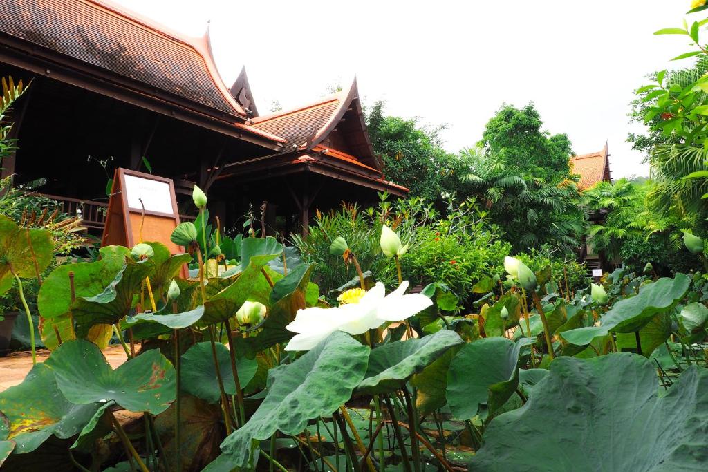 Zahrada ubytování Khaolak Bhandari Resort & Spa