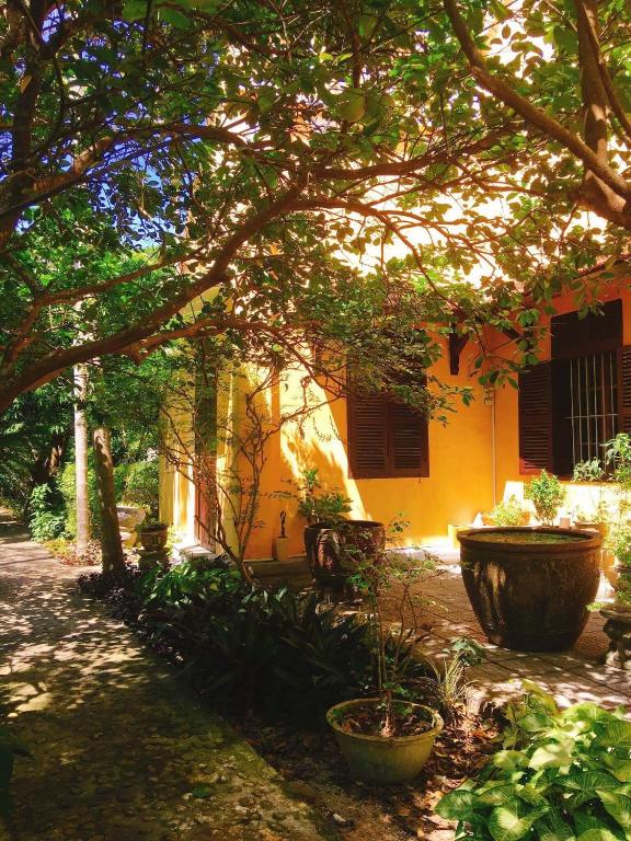 Zahrada ubytování Ciel Homestay