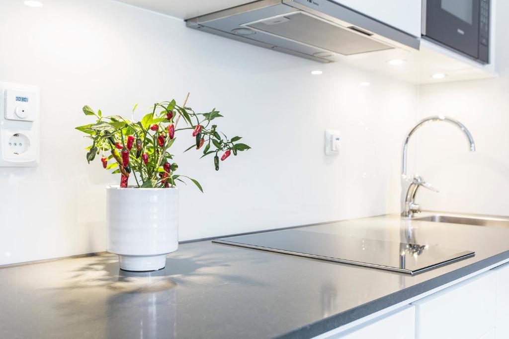 Biz Apartment Hammarby Sjöstad - Resim 18