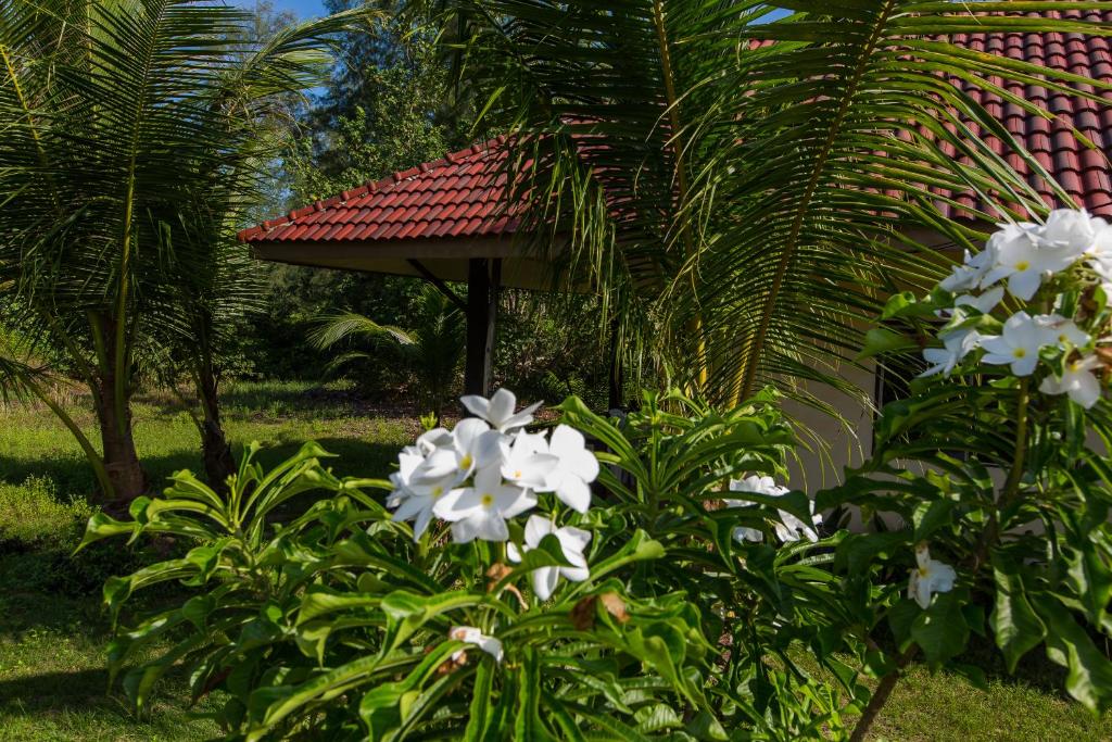 Pranee Beach Bungalows - Bungalow Presupuestario