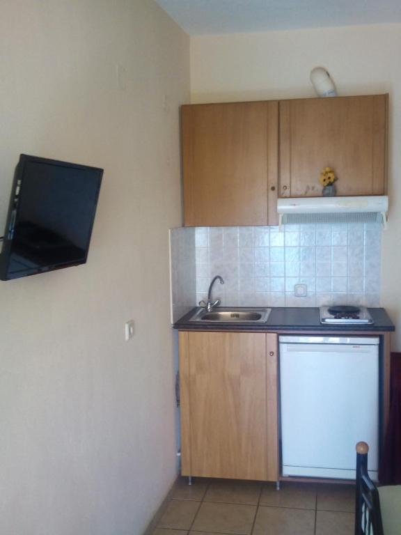 Kuchyň nebo kuchyňský kout v ubytování menidistudios