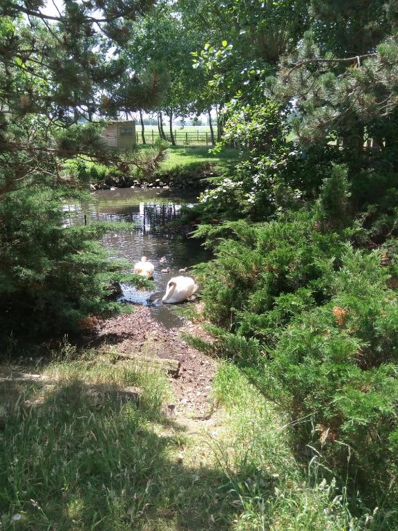 Derechos de imagen reservados por Booking.com